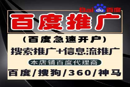 深入解析sem代运营推广公司的成功策略及效果